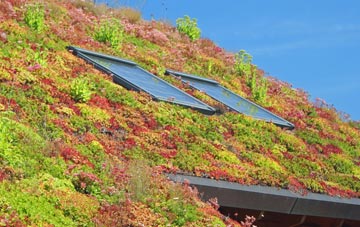 West Hatch living roof systems